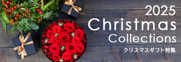 クリスマス特集