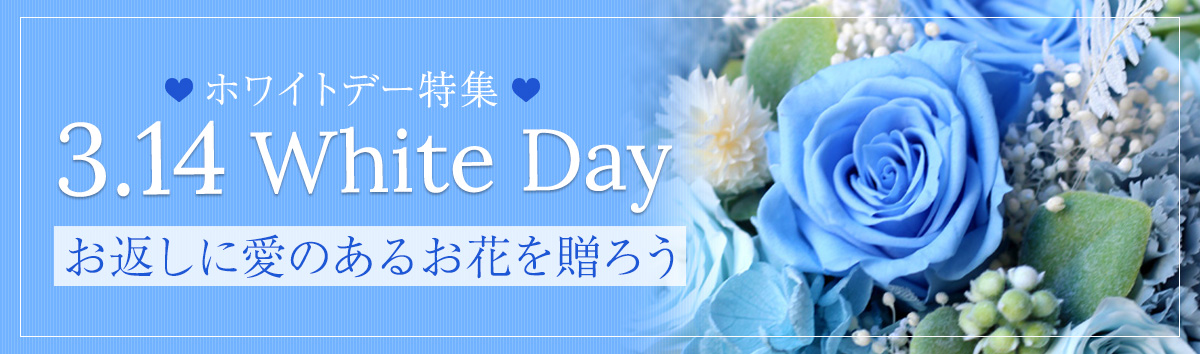 ホワイトデー特集