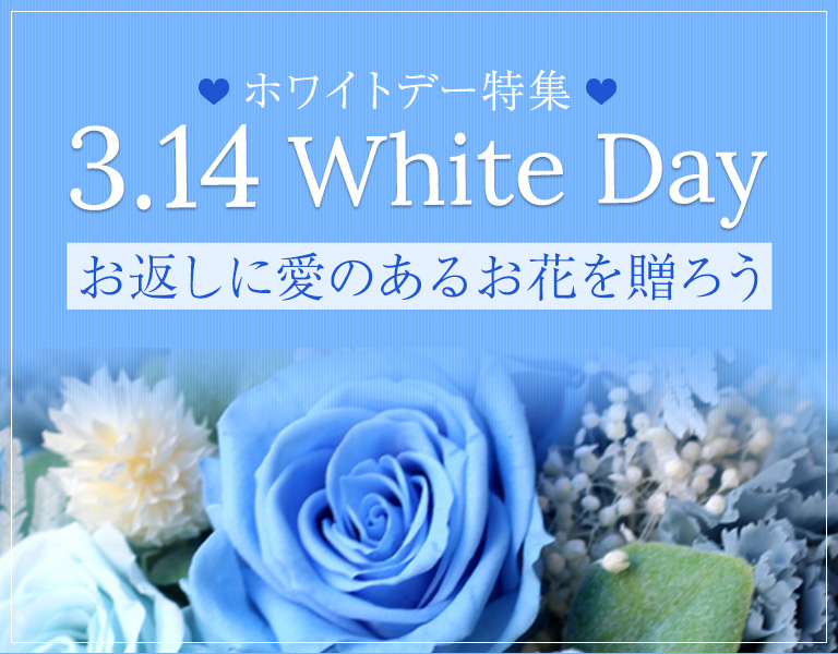 ホワイトデー特集