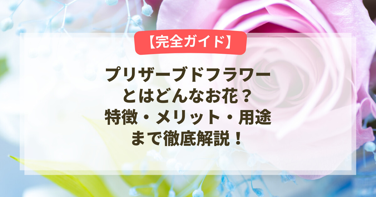 プリザーブドフラワーとはどんなお花?特徴・メリット・用途まで徹底解説!【完全ガイド】